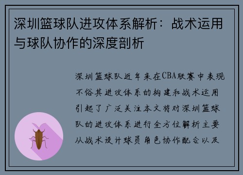 深圳篮球队进攻体系解析：战术运用与球队协作的深度剖析